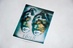 Labels31